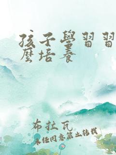 孩子学习习惯怎么培养