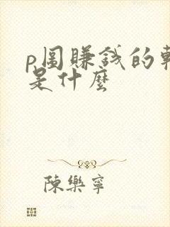 p图赚钱的软件是什么