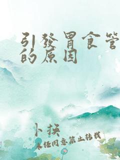 引发胃食管反流的原因