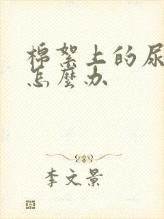 棉絮上的尿骚味怎么办