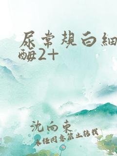 尿常规白细胞酯酶2+