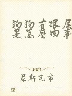 狗狗有眼屎还吐是怎么回事