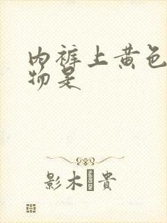 内裤上黄色分泌物是