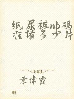 纸尿裤nb码要准备多少片