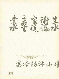 业主家卫生间下水管道漏水该谁管