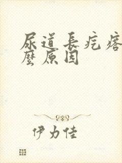 尿道长疙瘩是什么原因