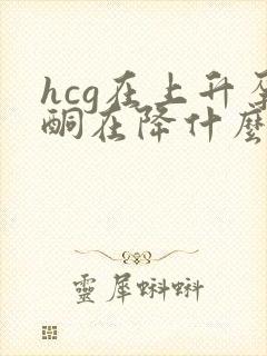 hcg在上升孕酮在降什么情况