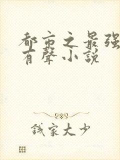 都市之最强狂兵有声小说