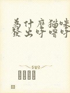 为什么猫咪一直发出呼噜呼噜的声音