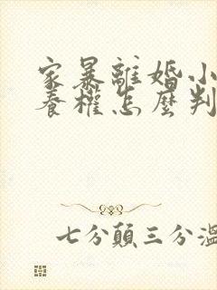 家暴离婚小孩抚养权怎么判