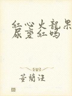 红心火龙果会让尿变红吗