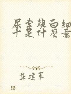 尿常规白细胞2十是什么意思