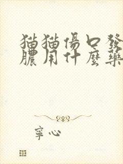 猫猫伤口发炎化脓用什么药