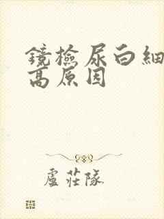 镜检尿白细胞偏高原因