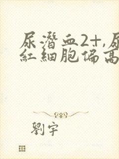 尿潜血2+,尿红细胞偏高是什么情况