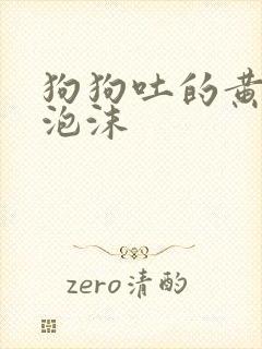 狗狗吐的黄水带泡沫