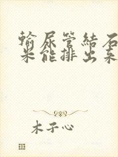 输尿管结石8毫米能排出来吗