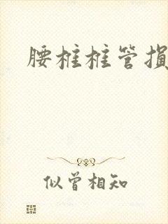 腰椎椎管损伤