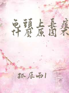 龟头上长痘痘是什么原因不痛不痒