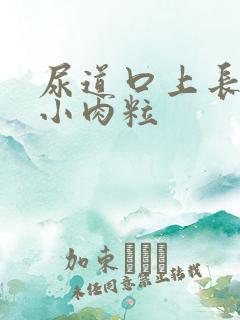 尿道口上长一圈小肉粒