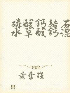 磷酸钙结石与二水草酸钙混合结石