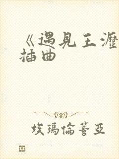 《遇见王沥川》插曲