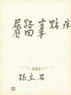 尿路有点痒是怎么回事