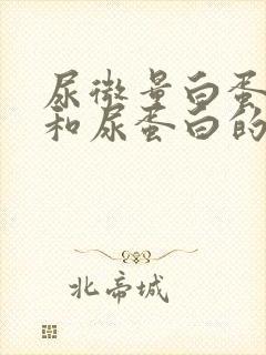 尿微量白蛋白高和尿蛋白的区别