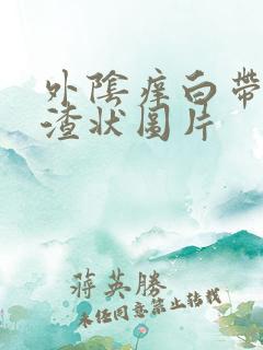 外阴痒白带豆腐渣状图片