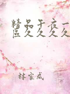 精品午夜一区二区久久久久久