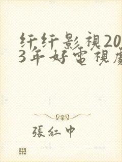 纤纤影视2023年好电视剧琅琊榜