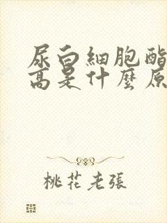 尿白细胞酯酶偏高是什么原因