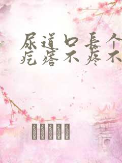 尿道口长个小肉疙瘩不疼不痒