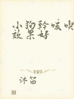 小狗干咳吃啥药效果好