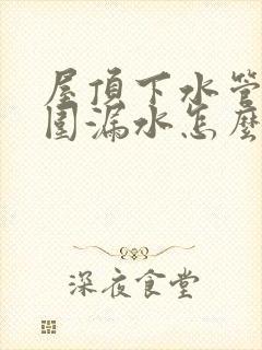 屋顶下水管道周围漏水怎么办