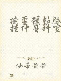 检查颈动脉斑块挂什么科室