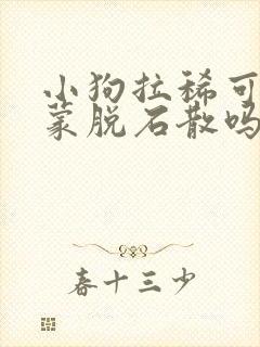 小狗拉稀可以喂蒙脱石散吗