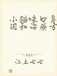 小猫咪口臭的原因和治疗方法