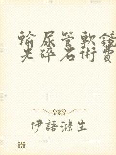 输尿管软镜钬激光碎石术费用