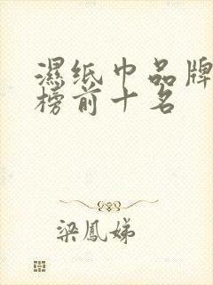 湿纸巾品牌排行榜前十名