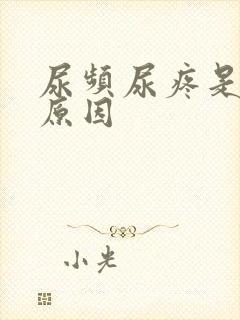 尿频尿疼是什么原因