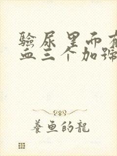 验尿 里面有潜血三个加号怎么办