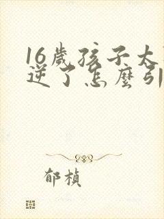 16岁孩子太叛逆了怎么引导