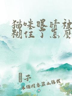 猫咪眼睛被眼屎糊住了怎么办