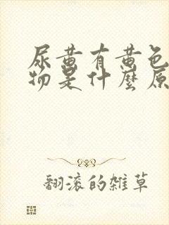 尿黄有黄色分泌物是什么原因