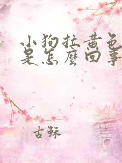 小狗拉黄色的尿是怎么回事