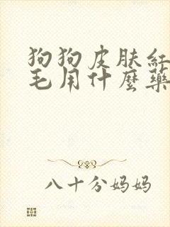 狗狗皮肤红痒掉毛用什么药治