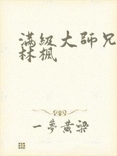 满级大师兄小说林枫