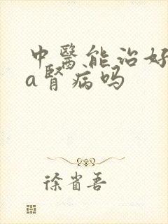 中医能治好iga肾病吗