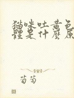 猫咪吐黄色的液体是什么原因